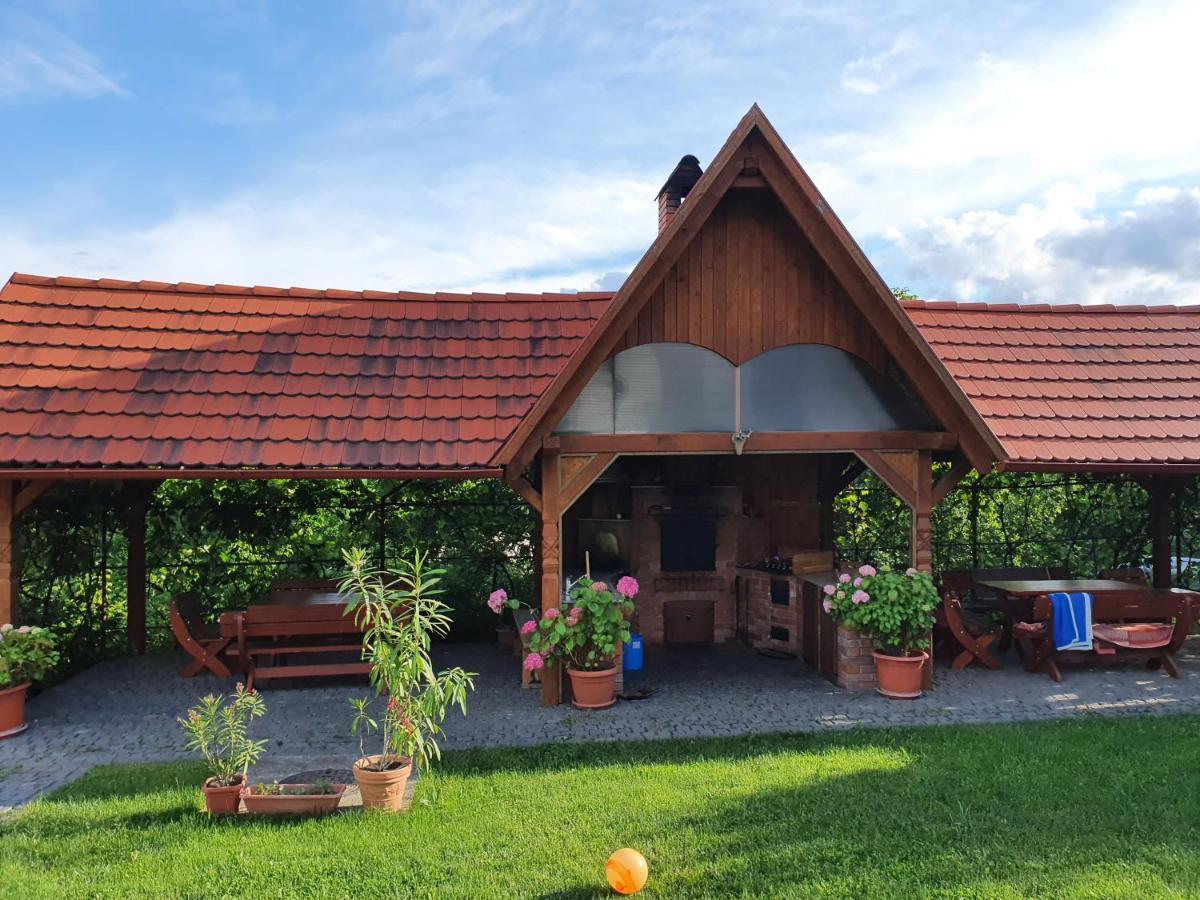 Pensiunea Szilas Panzio Păuleni Exteriér fotografie