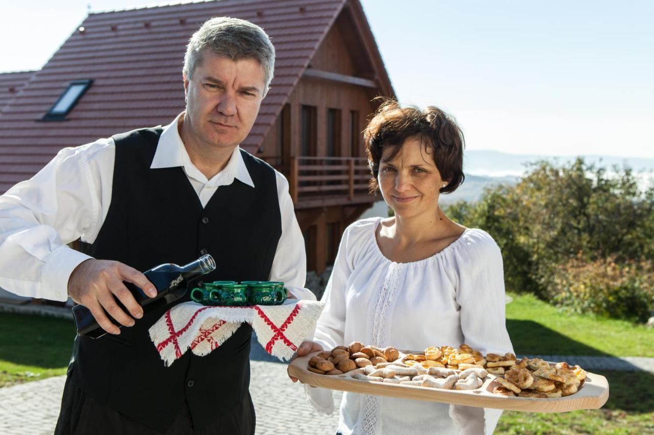 Pensiunea Szilas Panzio Păuleni Exteriér fotografie